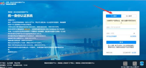 今晚上线 海南凭房产可参加小客车增量指标摇号丨附流程
